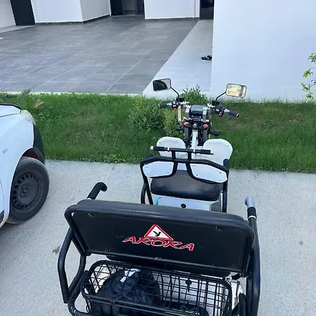 Apartment Art Life Flora в спальне нет окна