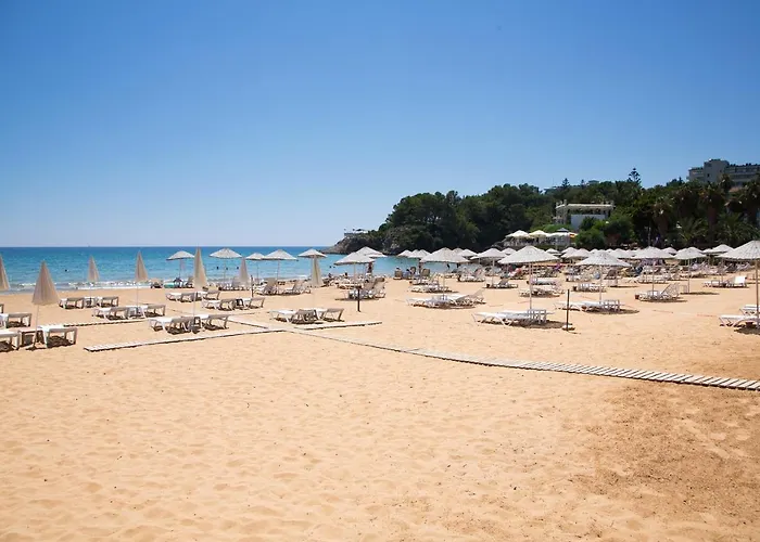 Art Life Flora в спальне нет окна Apartment