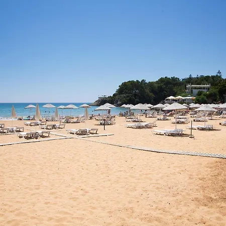 Art Life Flora в спальне нет окна Апартаменты