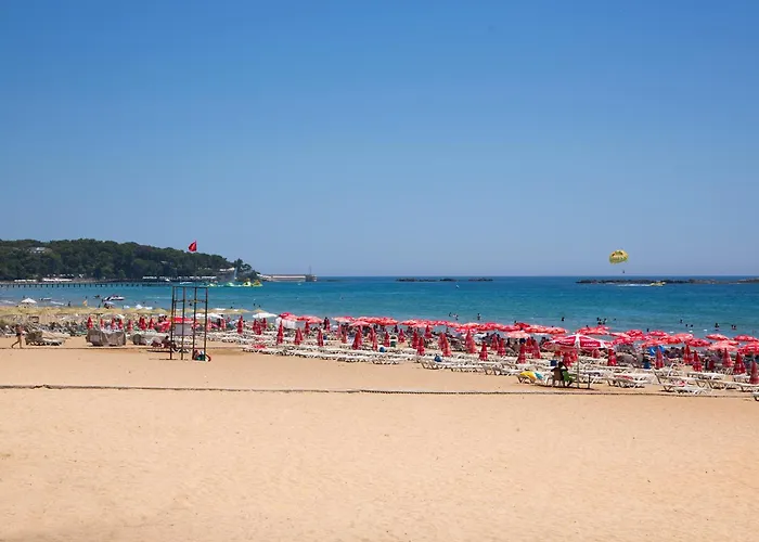 Апартаменты Art Life Flora в спальне нет окна